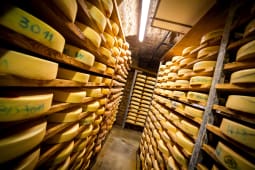 fromage morbier