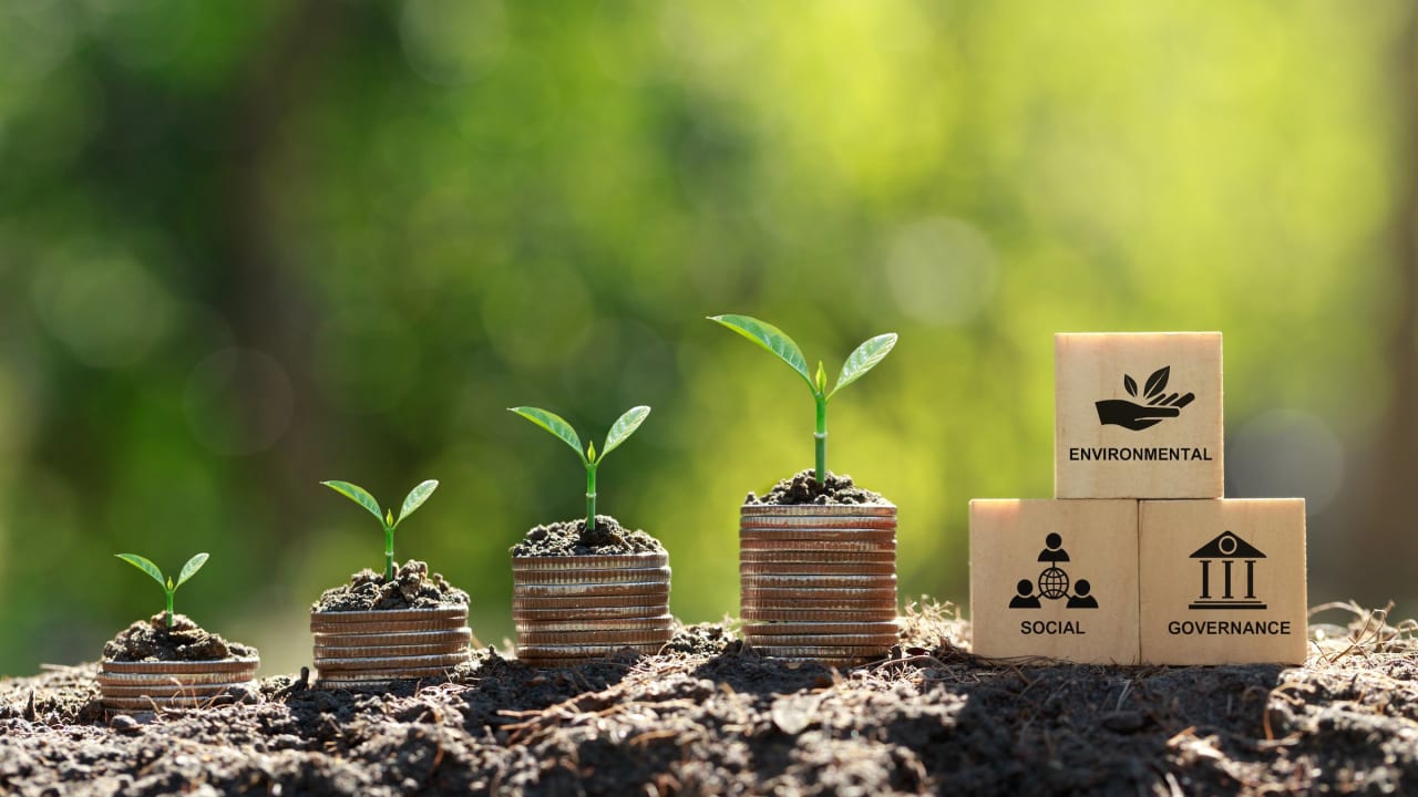 Assurance vie : les « promesses climatiques » ne sont pas tenues, selon l'ONG Reclaim Finance