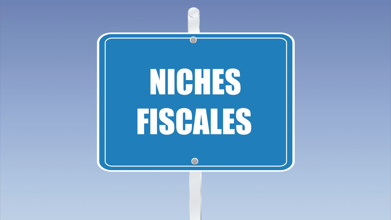 Impôts : carburant, frais de scolarité... Ces 23 niches fiscales sont sur la sellette, allez-vous y perdre ?