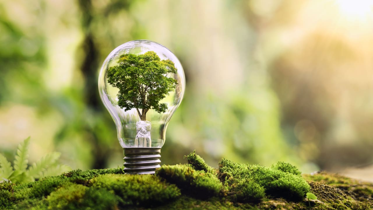 Green-Got : un nouvel agrément obtenu par la fintech, quels changements pour ses clients ?
