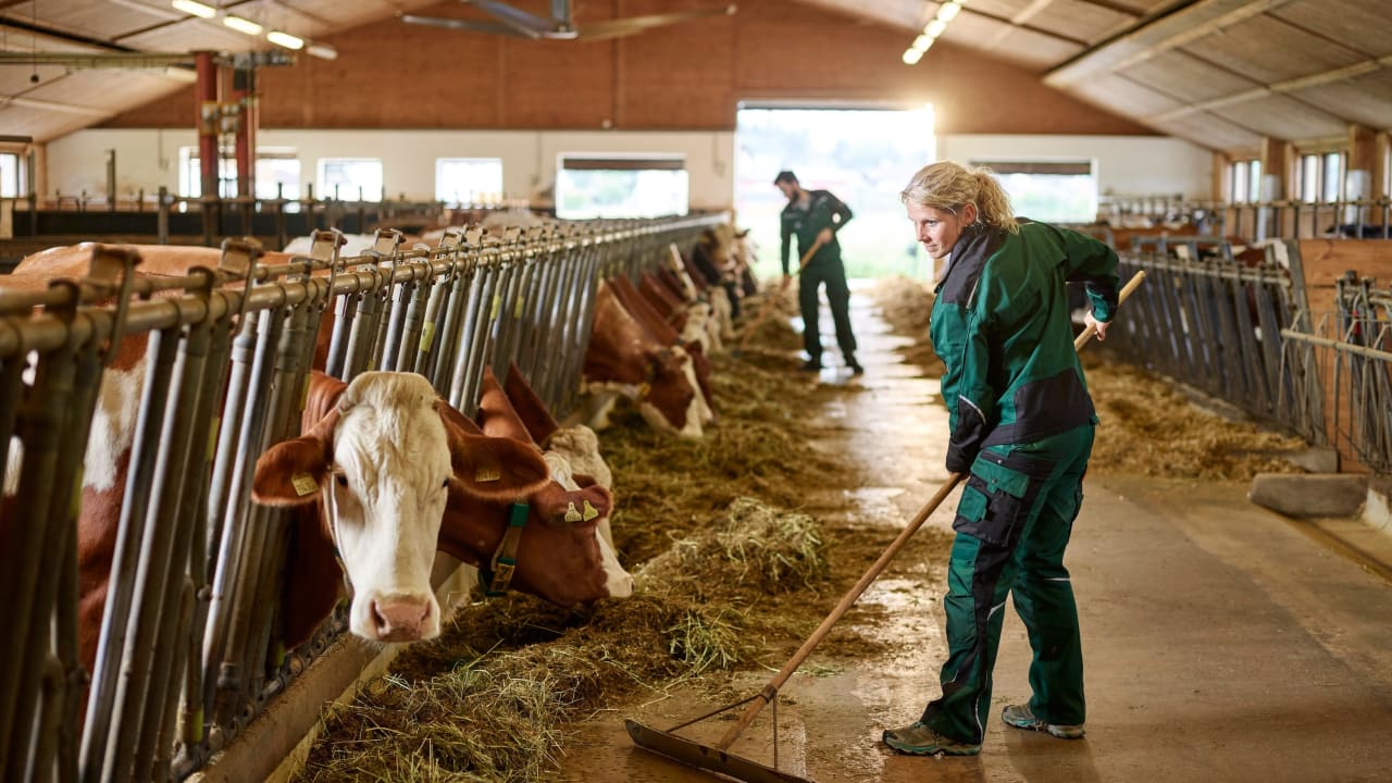 Crédit d'impôt de 4 500 euros, déduction pour épargne... Des mesures pour les agriculuteurs