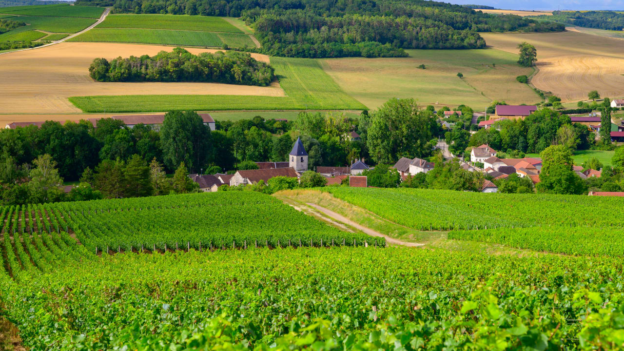 Aube : dans le vignoble du champagne, deux villages s'invitent dans le top 15 national de l'impôt sur le revenu