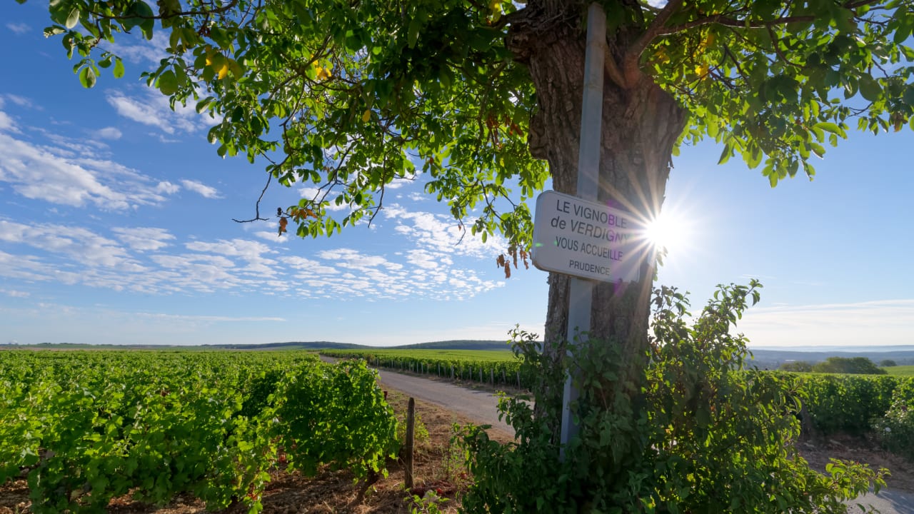 Cher : le vignoble du sancerre écrase le classement départemental de l'impôt sur le revenu moyen