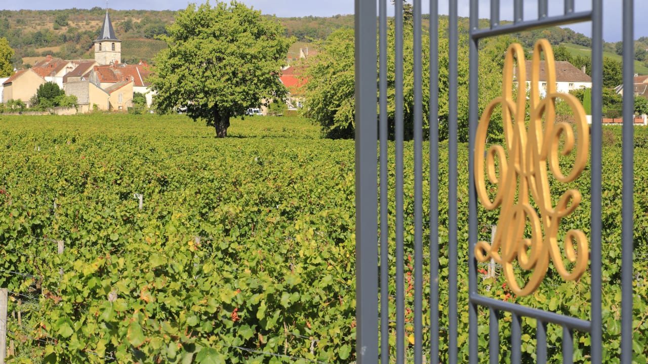 Vosne-Romanée, Puligny-Montrachet... Le top 10 très viticole des villes aux riches contribuables de Côte-d'Or