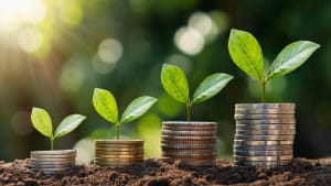 Des pices de monnaie et des plantes.