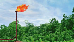 Gaz naturel inutilis pour la production et le transport par pipeline, au milieu de la fort amazonienne, sur les rives de la rivire Uruc. Coari, Amazonas, Brsil, 2020