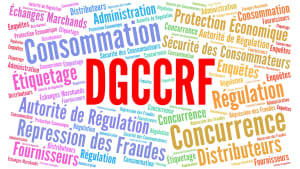 Nuage de mots sur la consommation et la rgulation en France.