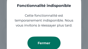 Message d?erreur : fonctionnalit� de virement temporairement indisponible au Cr�dit Agricole ce 17 mars