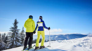 Un couple de skieurs se tenant la main � la montagne.