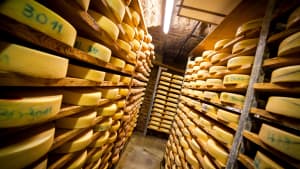 fromage morbier