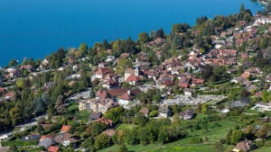 Village au bord d?un lac, maisons entour�es de verdure. Veyrier-du-Lac