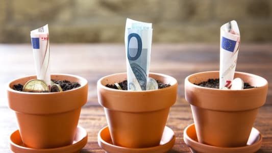 Des billets dans des pots