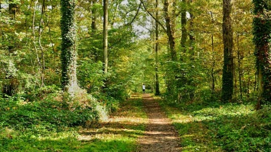 Verneuil-sur-Seine en 2016