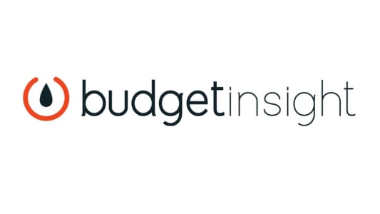 Logo Budget Insight