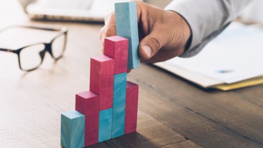 Un projet de croissance