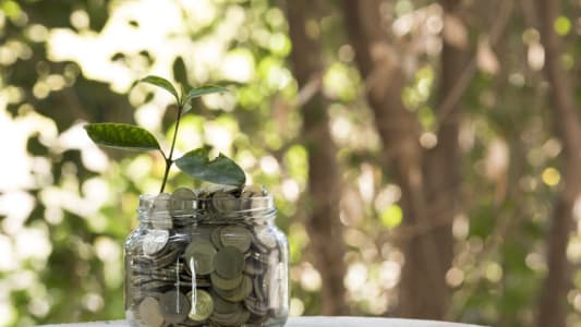 Un bocal de pices dans la fort