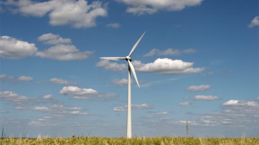 Une olienne dans un champ