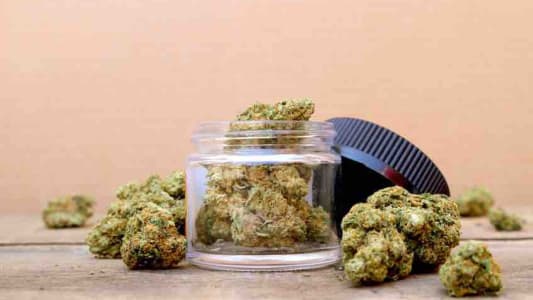 Du cannabis