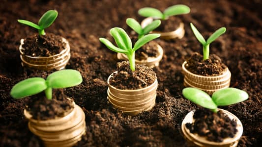 Ecologie et pargne