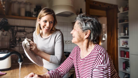 Aide à domicile, Cesu, emploi, service à la personne