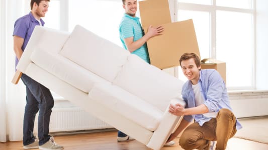 dmnagement amis aide