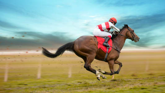 Un cheval de course