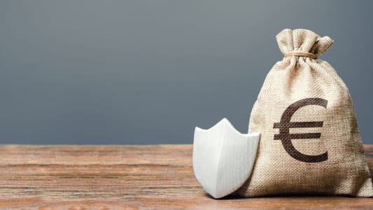 bourse en euros protge par un bouclier