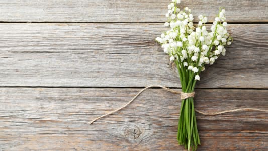 bouquet de muguet