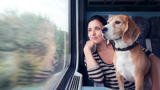 SNCF, tarif animaux SNCF