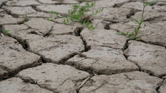 Le changement climatique fragilise les fondations des bâtiments