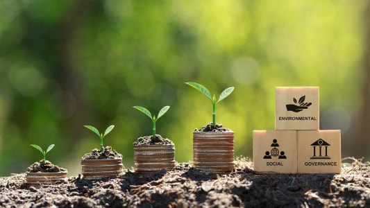 ESG