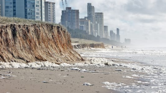 obligation informations risques immobilier