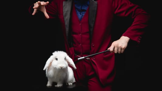 Un magicien fait disparatre un lapin