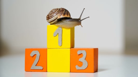 Escargot podium