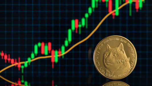 Pourquoi Twitter a remplac son oiseau par le chien de la crypto Dogecoin