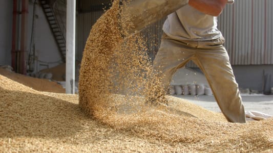 Chque bois :  Faut-il acheter ses pellets en vrac pour en profiter ? 