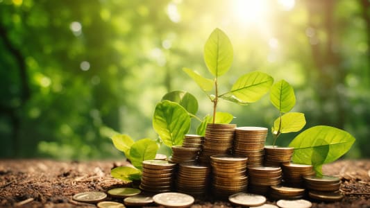 Les Franais veulent donner du sens  leurs investissements