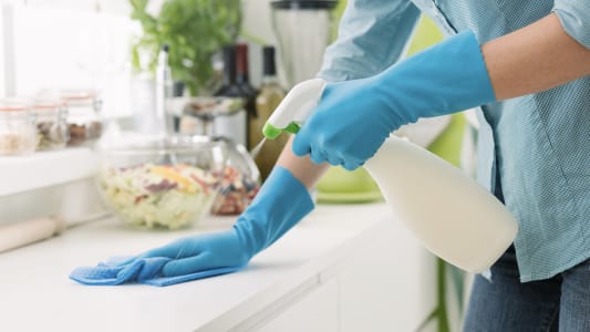 L'emploi d'un salari  domicile profite  5 millions de mnages