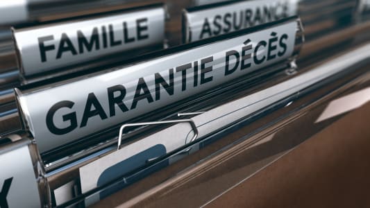 garantie dcs