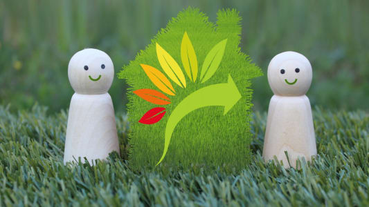 mon accompagnateur Rnov'