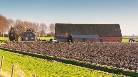 ferme