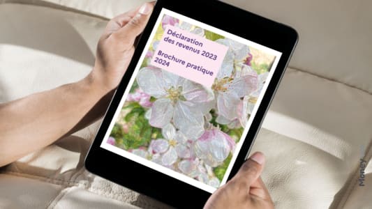 Brochure pratique impts