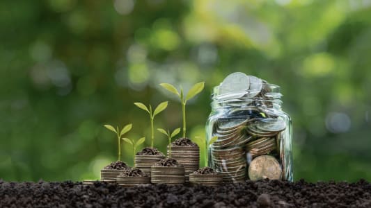 Le montant des crédits verts et durables au bilan des banques françaises a augmenté de 50% en un an, a indiqué jeudi leur fédération.