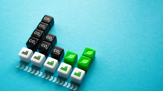 Banques investissements carbons