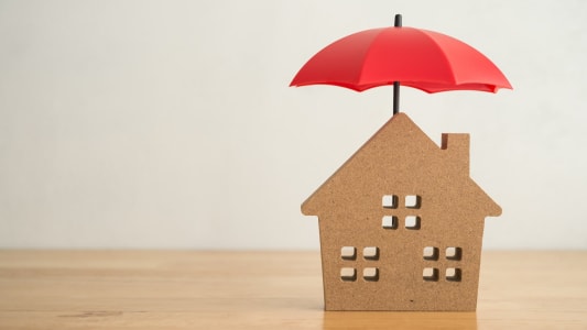 anniversaire loi lemoine