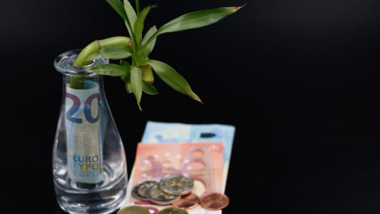 placement long terme