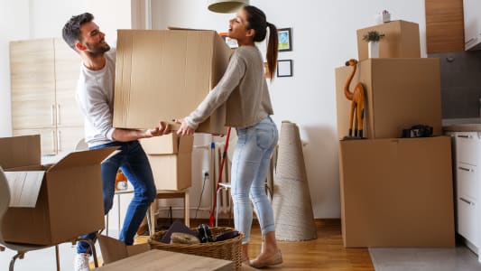 Deux personnes portent des cartons pour un dmnagement.
