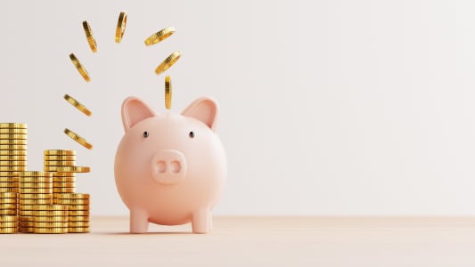 Les pistes du gouvernement pour son budget 2025