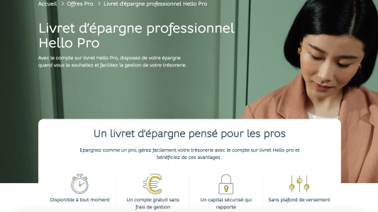 Livret pro de Hello business