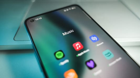 Des plateformes de streaming musical.